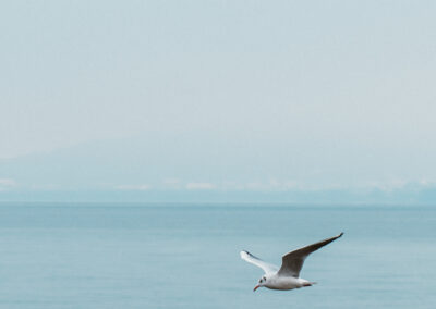 Stage Méditation Immersion Lâcher Prise Luca Derib (14)