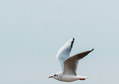 Stage Méditation Immersion Lâcher Prise Luca Derib (15)
