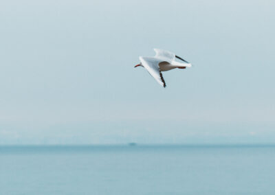 Stage Méditation Immersion Lâcher Prise Luca Derib (16)