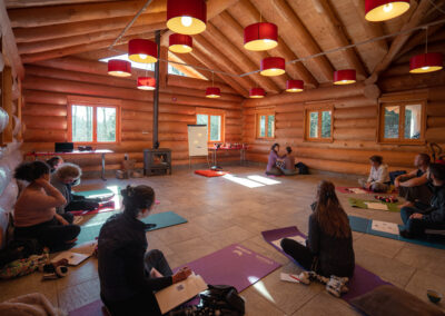 Stage auto guérison avec Luca de Ribaupierre du cabinet Reflex'harmony à Nyon (17)