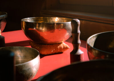 Stage auto guérison avec Luca de Ribaupierre du cabinet Reflex'harmony à Nyon (47)