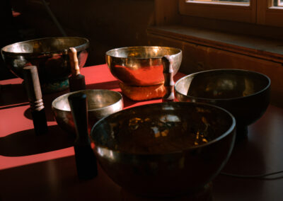 Stage auto guérison avec Luca de Ribaupierre du cabinet Reflex'harmony à Nyon (48)