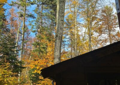 Stage de formation à l'auto guérison avec Luca DERIB le 1 et 2 novembre 2025