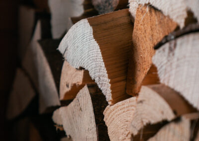 Stage d'activation du Feu avec le thérapeute Luca Derib du Cabinet Reflex' Harmony à Nyon