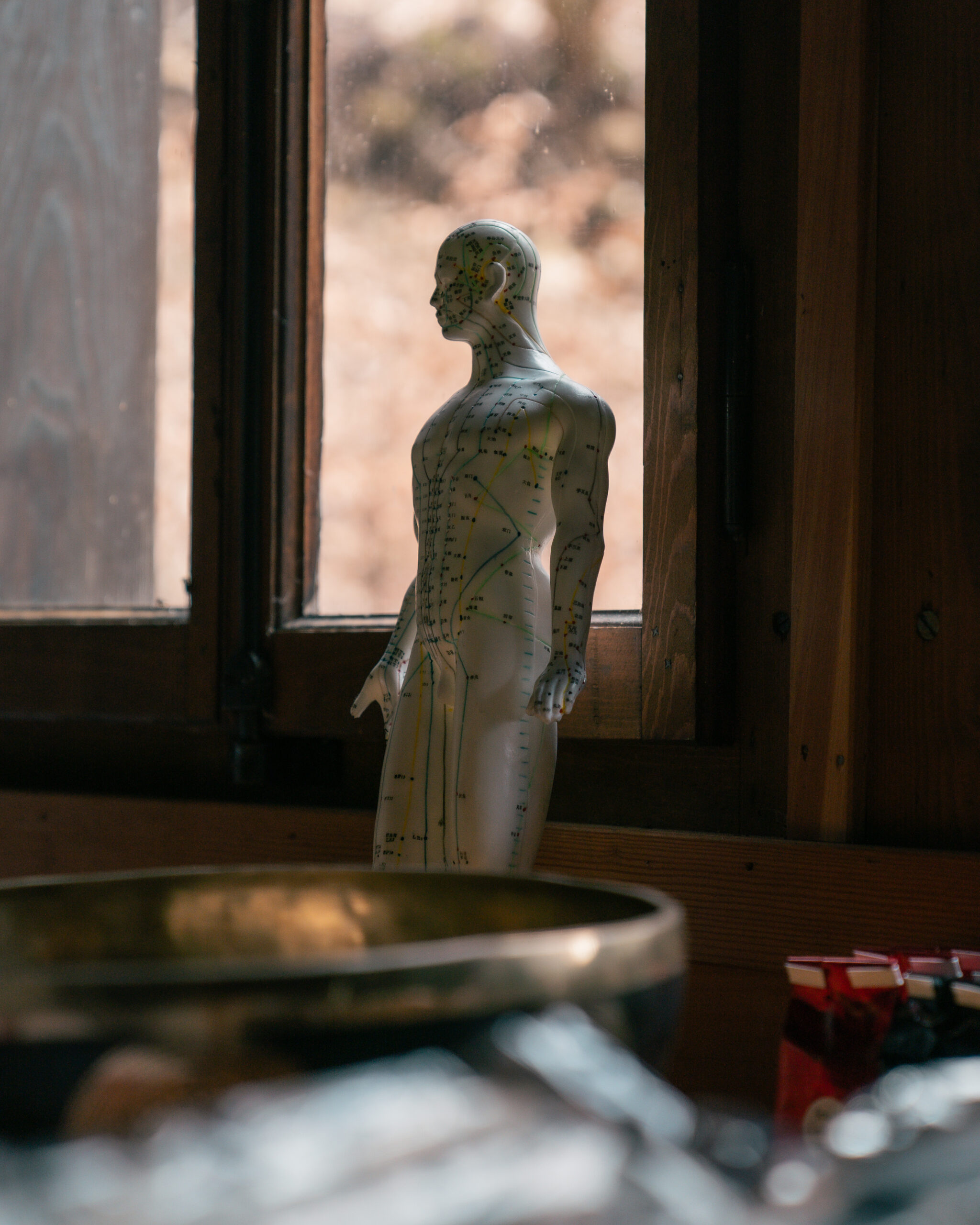 stage-activation-du-feu-luca-derib-therapeute-reflex-harmony (27) Stage d'activation du Feu avec le thérapeute Luca Derib du Cabinet Reflex' Harmony à Nyon